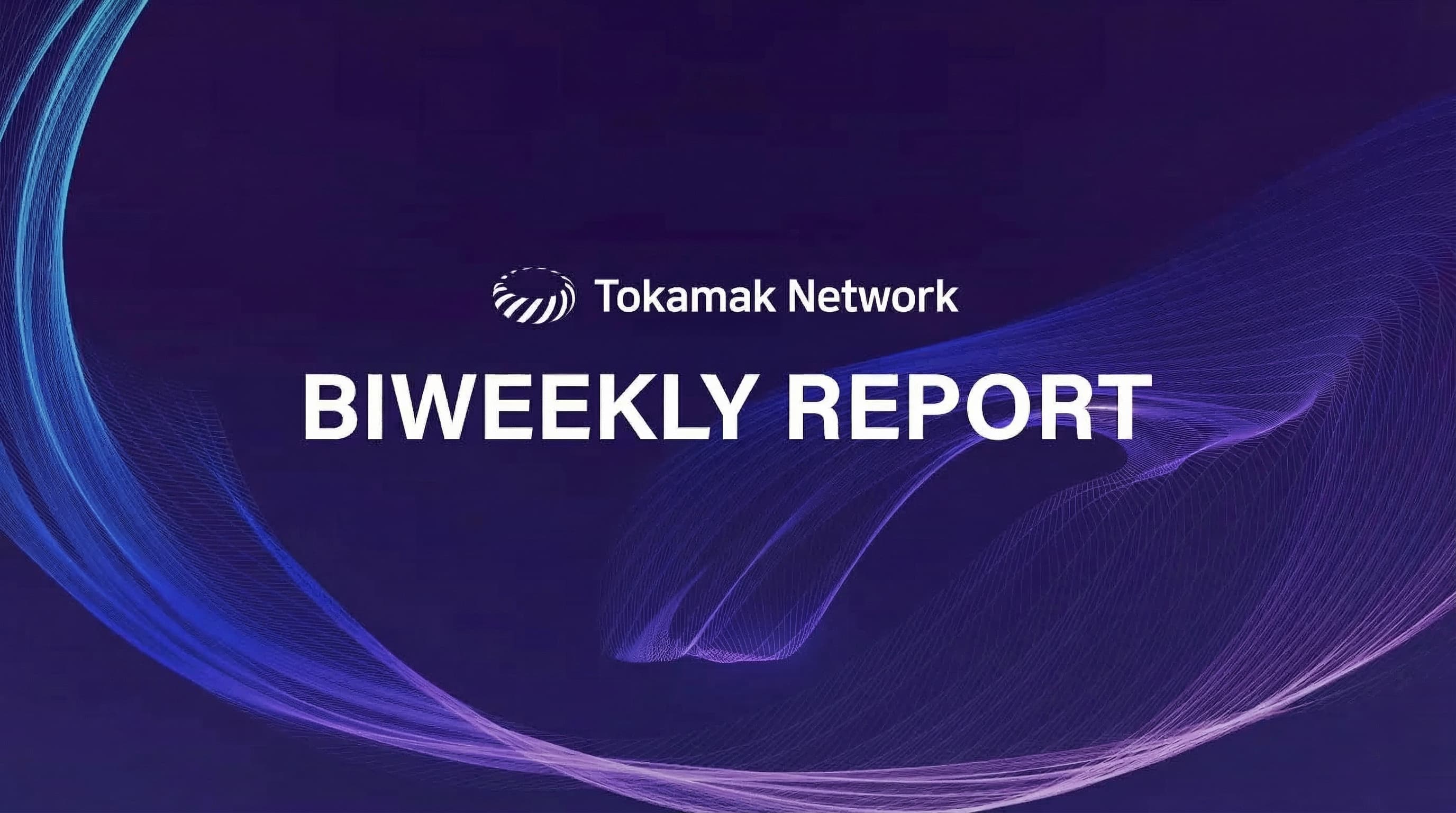 Biweekly #4: Tokamak Network: 2,270,897 Code Changes Across 35 Active Projects